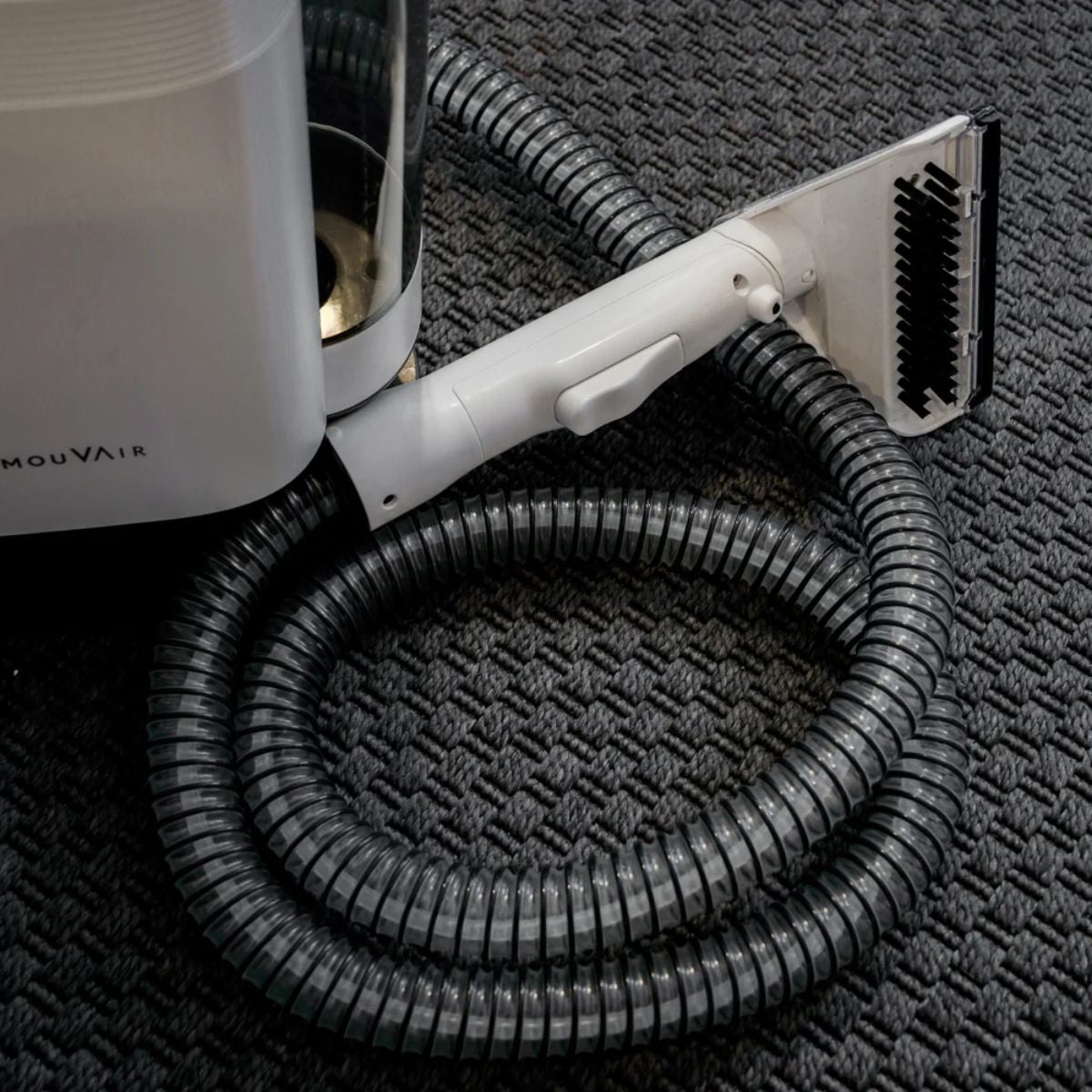 Aspiradora Lava Tapiz Jet Mouvair