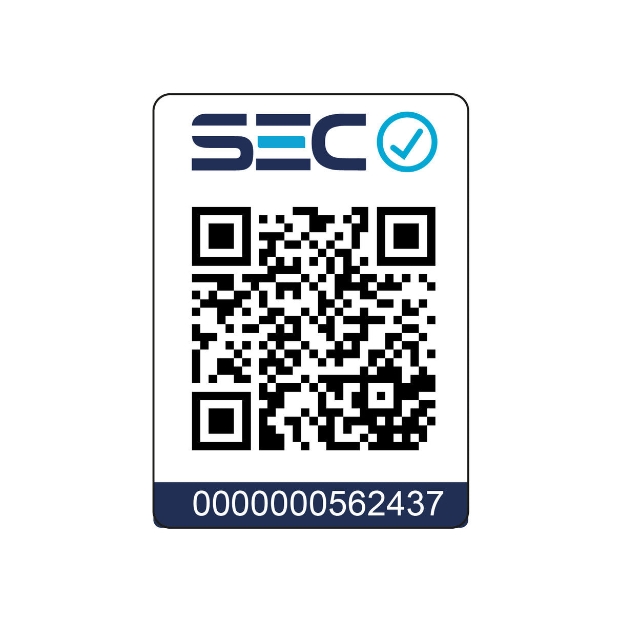 Cafetera Espresso Bari 5 en 1 CB5EN1 Kitchen It