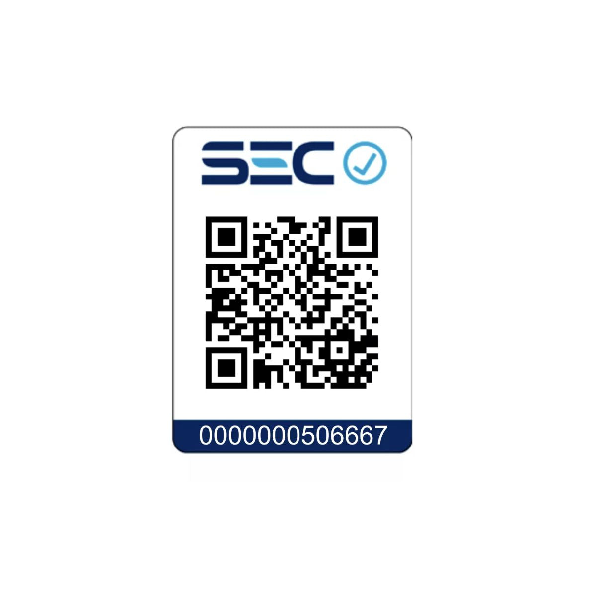 Cafetera Espresso Manual Dedica Maestro Plus 1.6 L De'Longhi