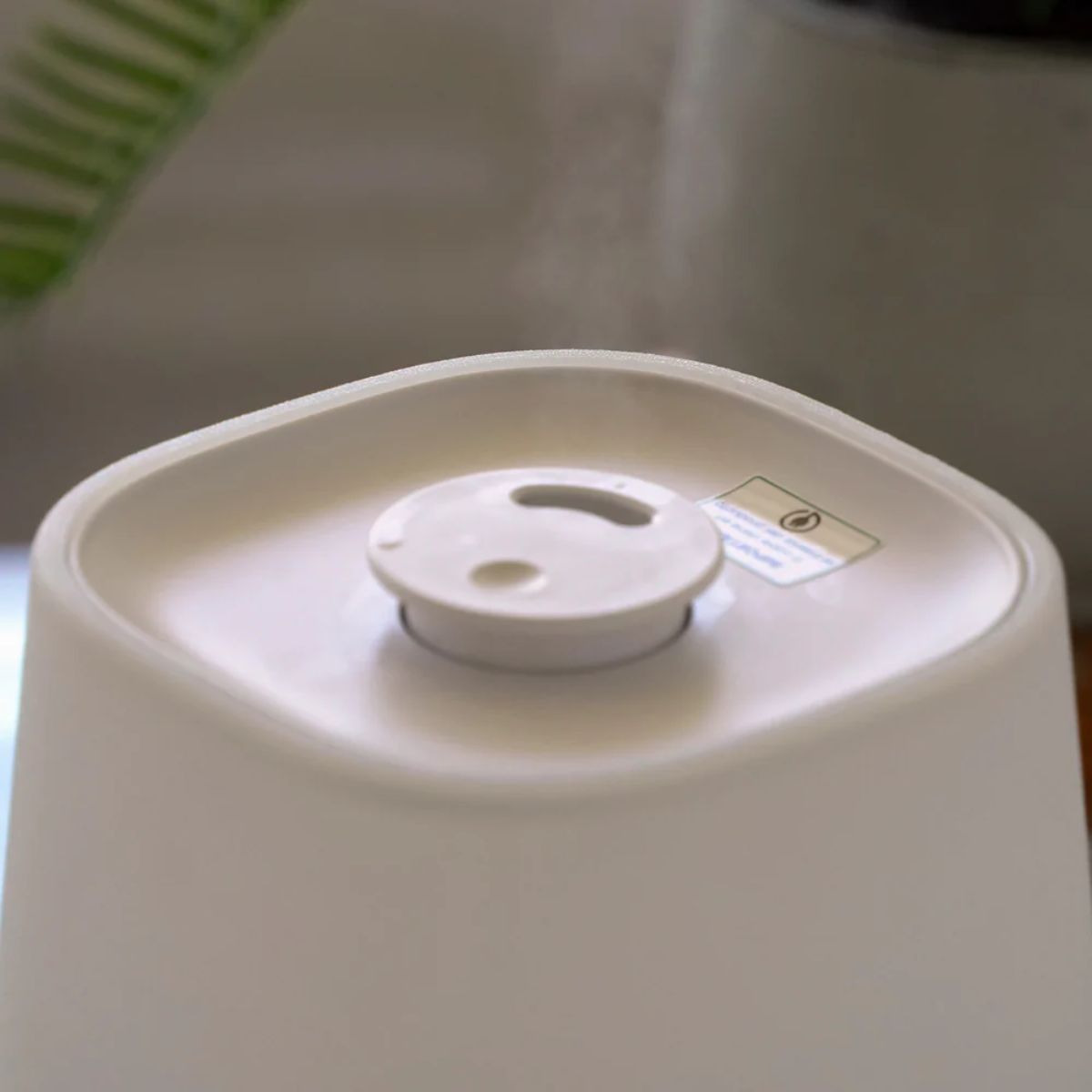 Humidificador Cloud Mouvair