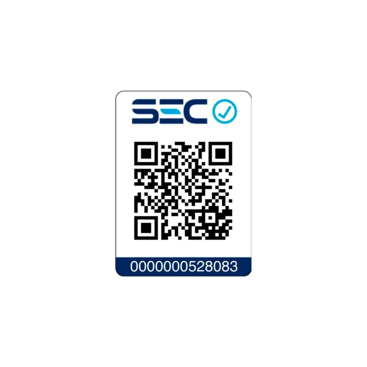 Plancha Panini Master Edition Kitchen It