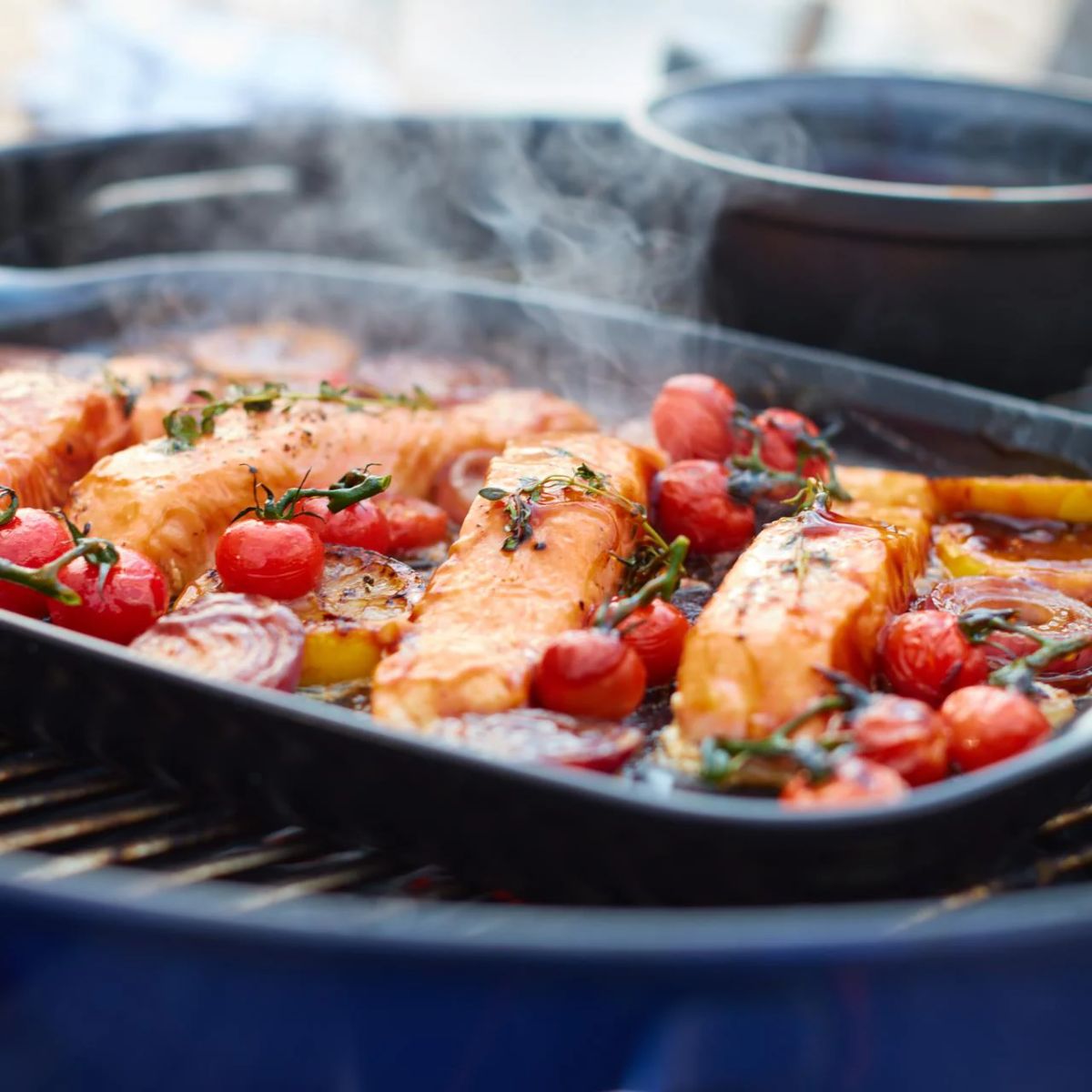 Parrilla para Pescado BBQ Emile Henry