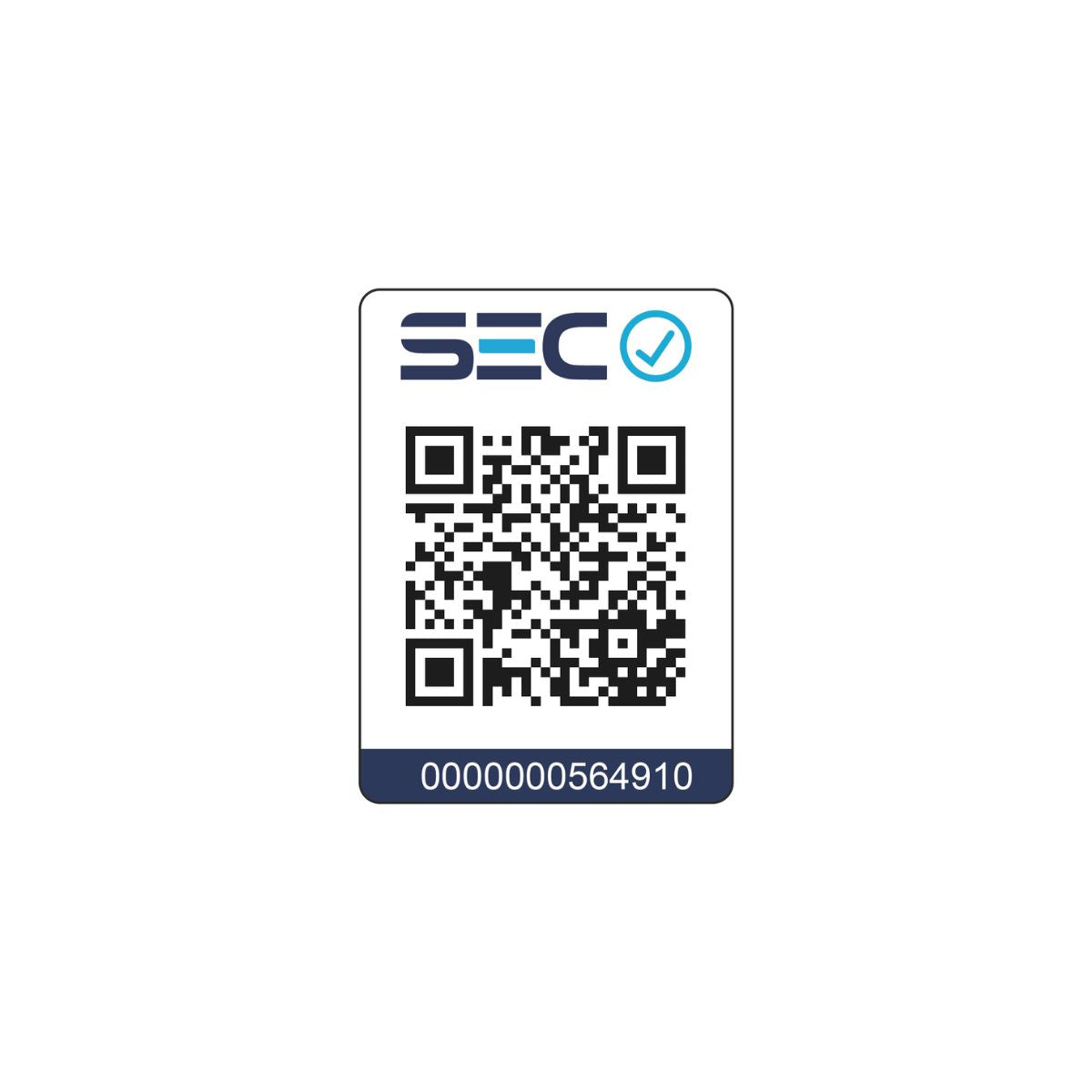 Minipimer Pro 1000W 5 en 1 Acero Inoxidable Kitchen It