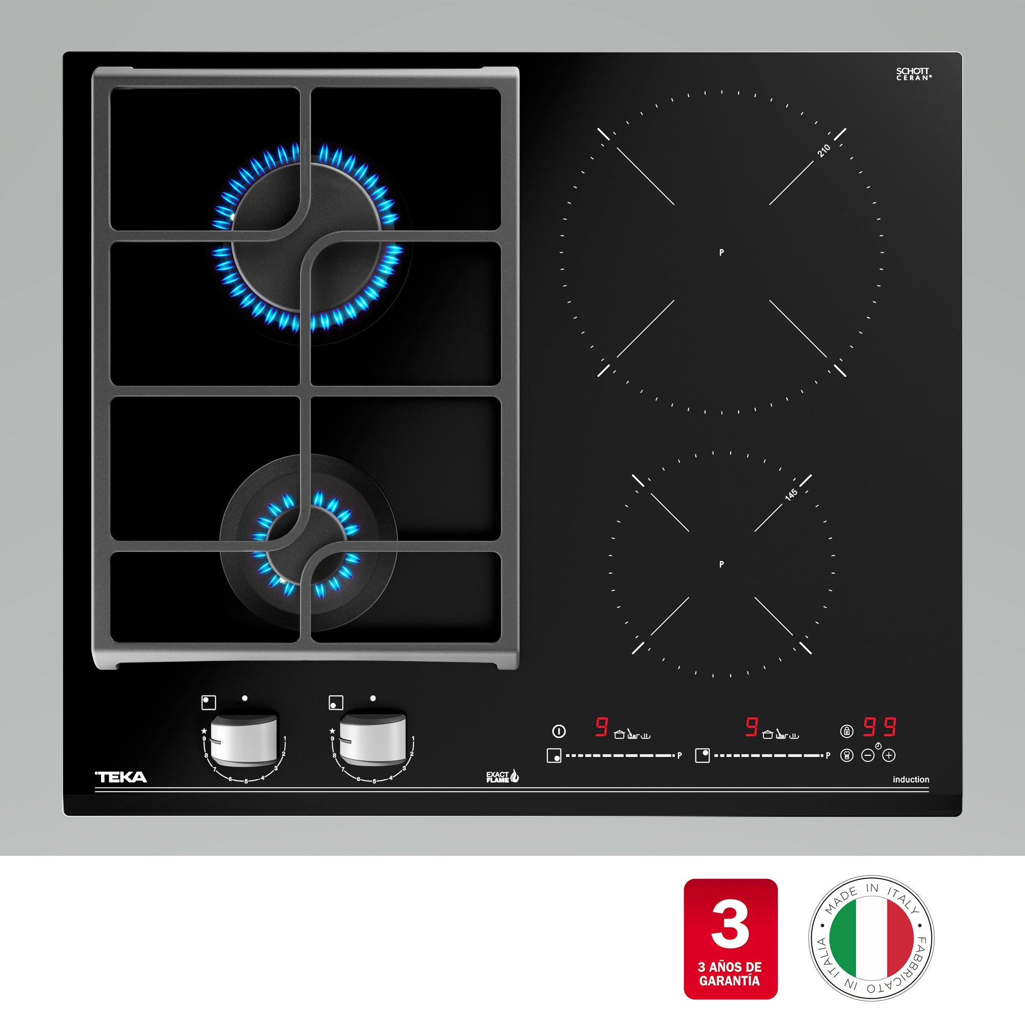 専用　マラヤンペジョンスキー　KTZ マラヤンペジョンスキー KTZ