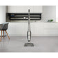 Aspiradora Inalámbrica ERG25N Electrolux