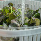 Centrífuga de Verduras Clear Fresh 5,5 lts. Blanca OU