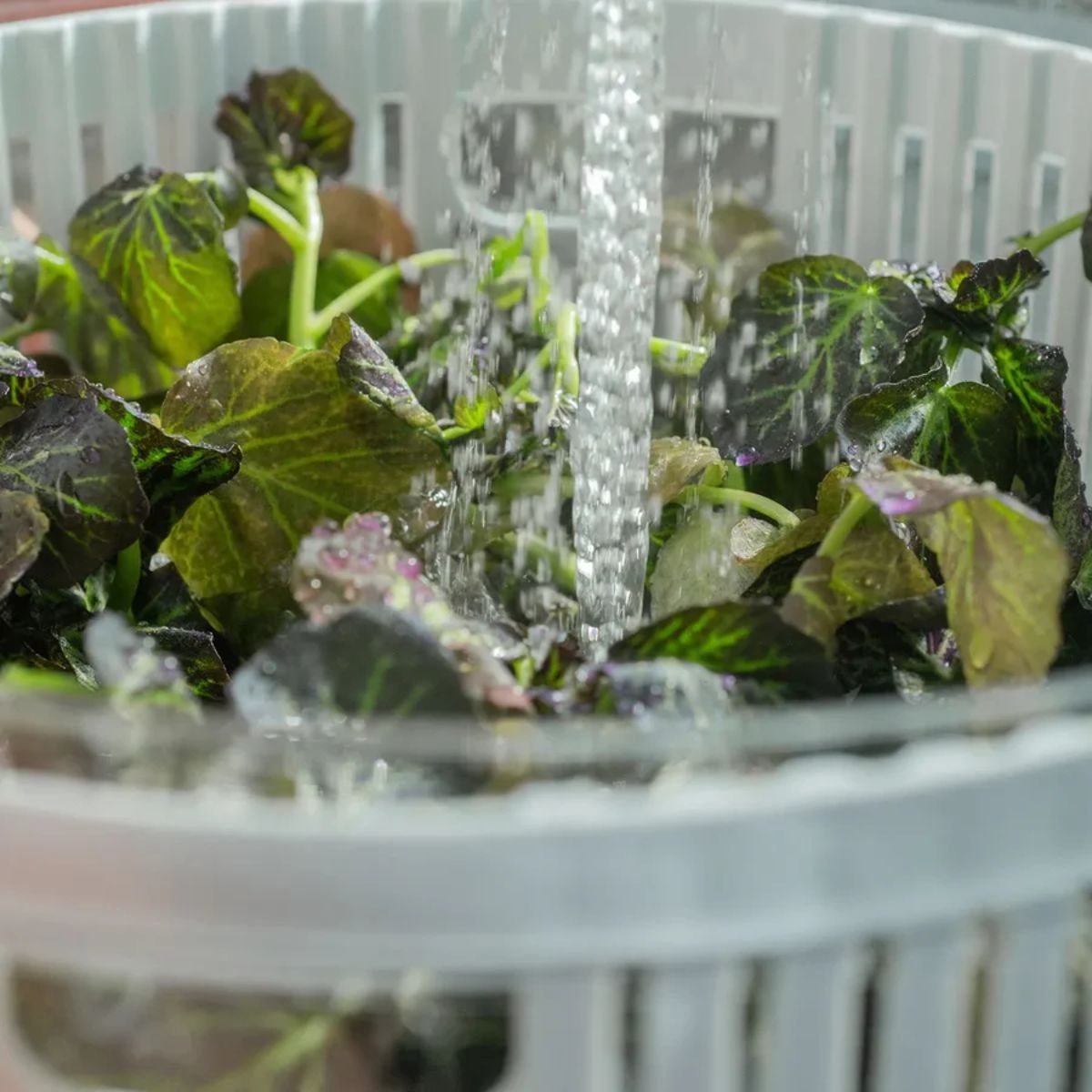 Centrífuga de Verduras Clear Fresh 5,5 lts. Blanca OU