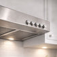 Campana de Pared 60 cm PDEX060ICL Predicta