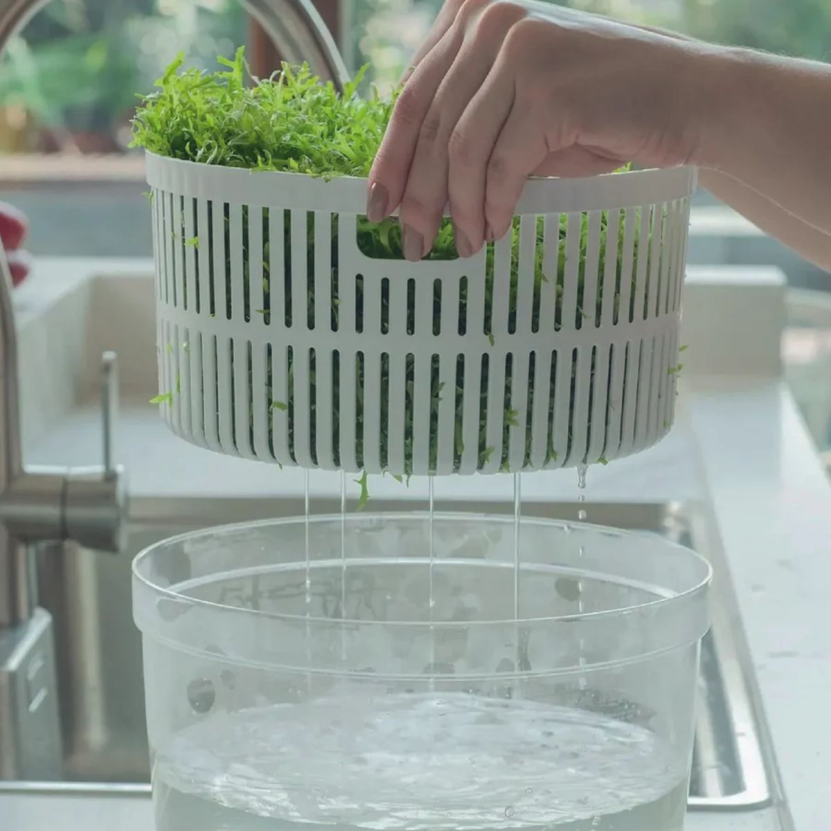 Kit Centrífuga y Organizador de Verduras 5.5L Clear Fresh OU