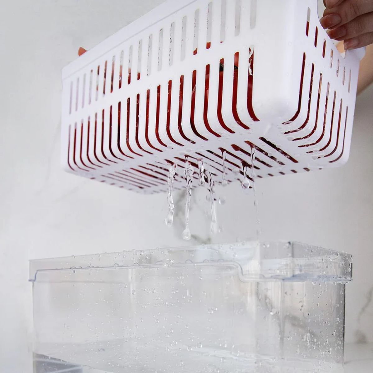 Organizador Clear Fresh OU