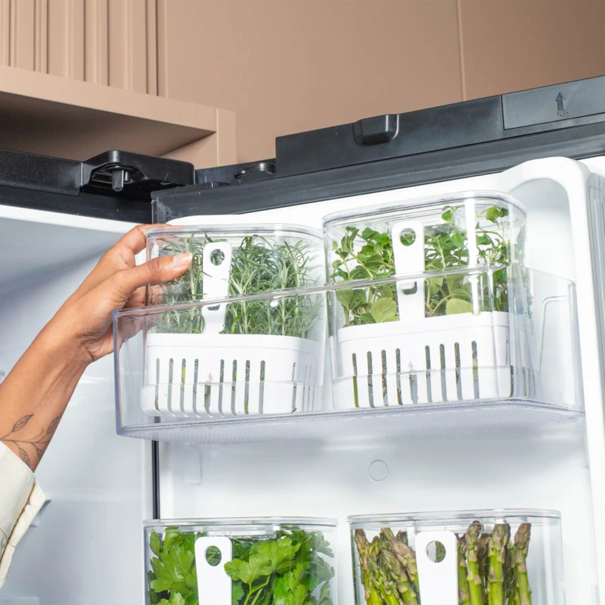 Organizador de condimentos refrigerador Clear fresh OU